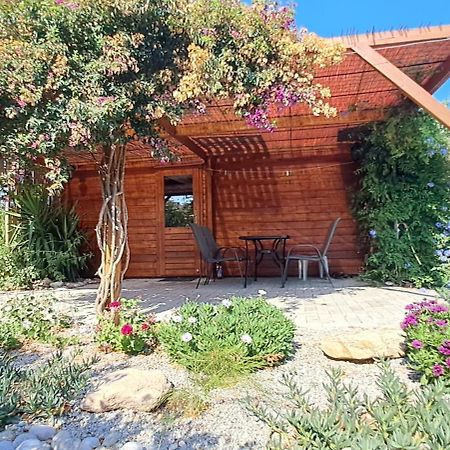 Villa Soroni Dış mekan fotoğraf